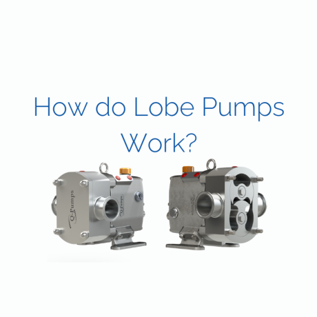 How Lobe Pumps Work: Complete Guide 