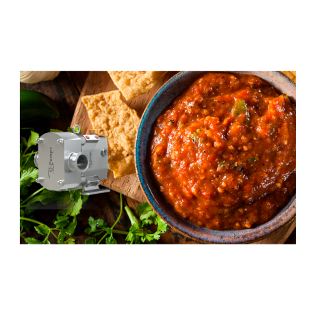  Positive Displacement Pumps for Sauces and Purees 